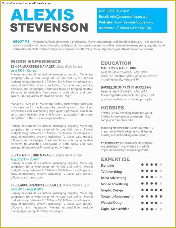 Free Pretty Resume Templates Of Beautiful Resume Template Free Samples Examples