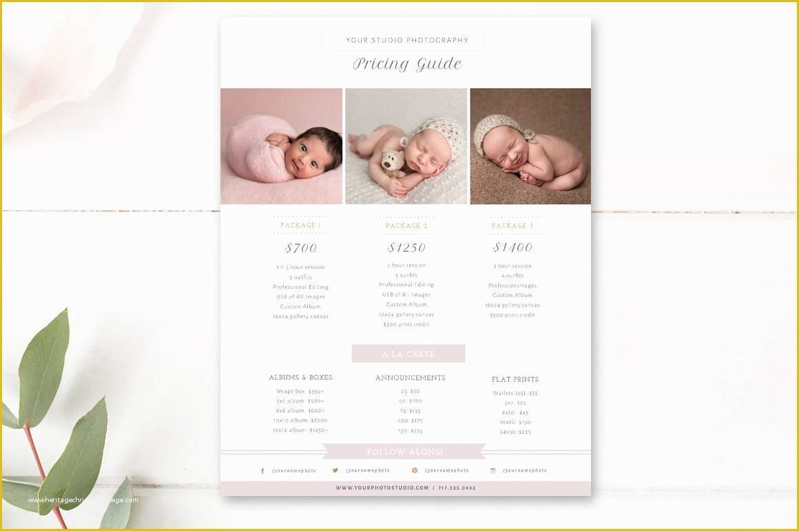 Free Pricing Template for Photographers Of Newborn Pricing Template Flyer Templates