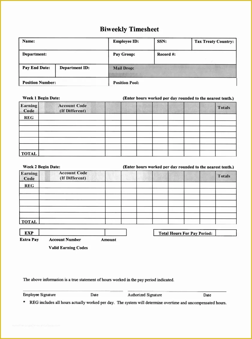 Free Printable Bi Weekly Timesheet Template Of Weekly Timesheet Spreadsheet