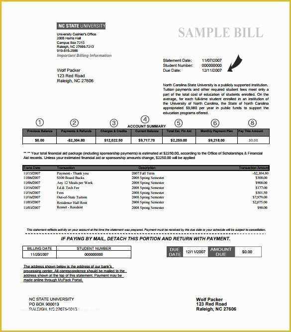 Free Printable Billing Statement Template Of 9 Sample Billing Statements