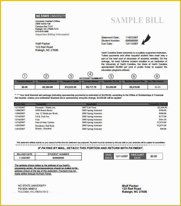 Free Printable Billing Statement Template Of 9 Sample Billing 