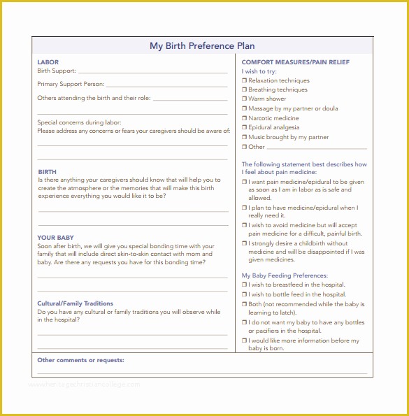 Free Printable Birth Plan Template Of 10 Birth Plan Templates Free Sample Example format