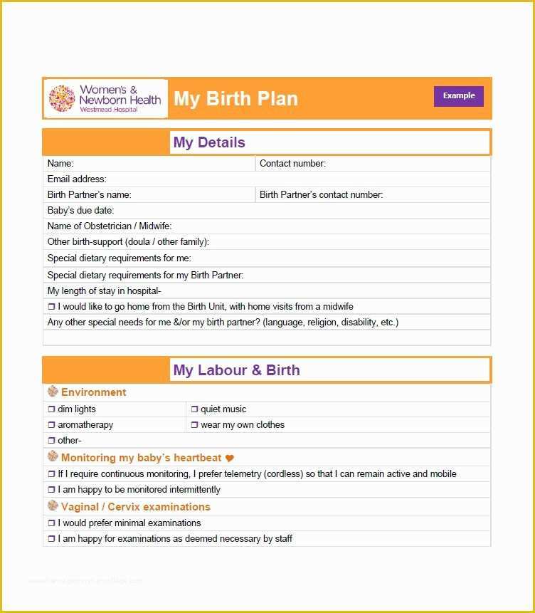 Free Printable Birth Plan Template Of 47 Printable Birth Plan Templates [birth Plan Checklist