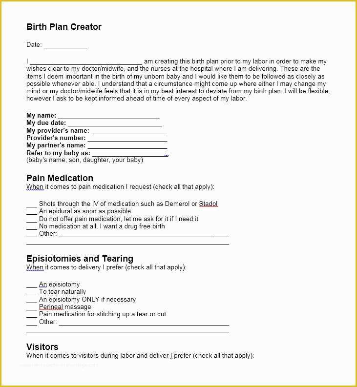 Free Printable Birth Plan Template Of 47 Printable Birth Plan Templates [birth Plan Checklist
