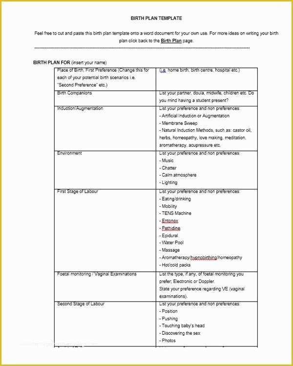 Free Printable Birth Plan Template Of 50 Free Birth Plan Templates Word Pdf formats