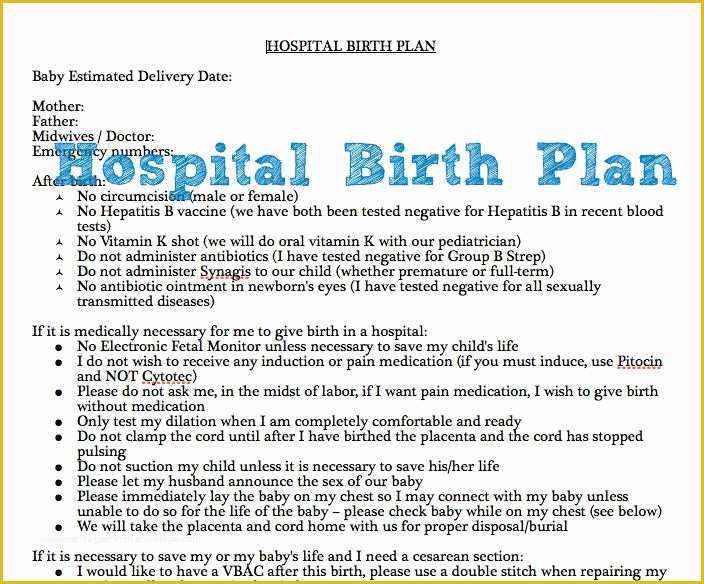 Free Printable Birth Plan Template Of Best 25 Birth Plan Printable Ideas that You Will Like On