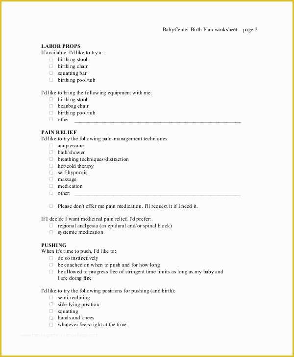 Free Printable Birth Plan Template Of Birth Plan Template 16 Free Word Pdf Documents