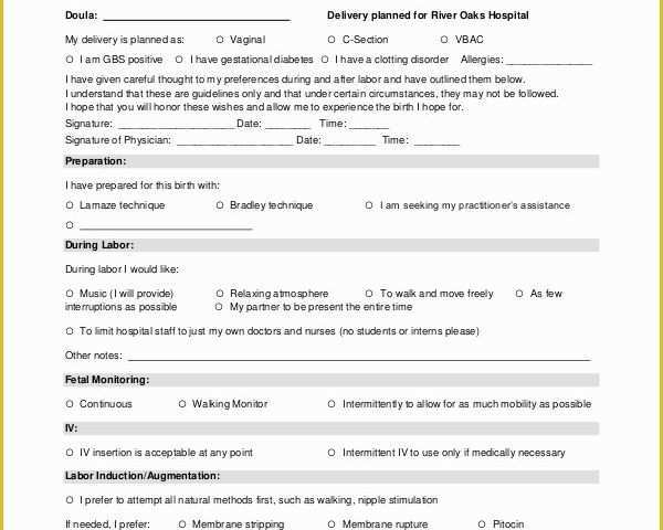 Free Printable Birth Plan Template Of Birth Plan Template 9 Free Word Pdf Documents Download