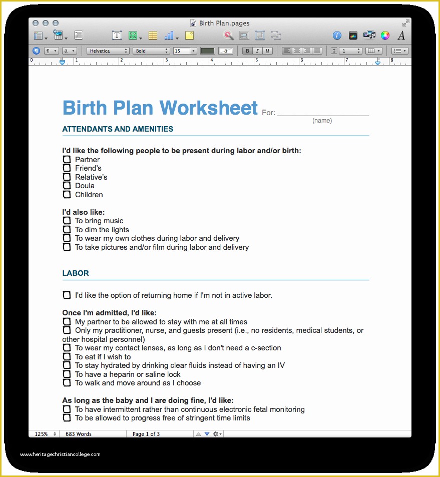 Free Printable Birth Plan Template Of Birth Plan Template Pdf and Pages Mactemplates