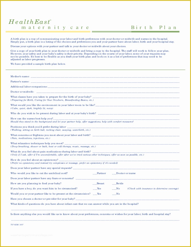 Free Printable Birth Plan Template Of E Page Birth Plan Template Free Download