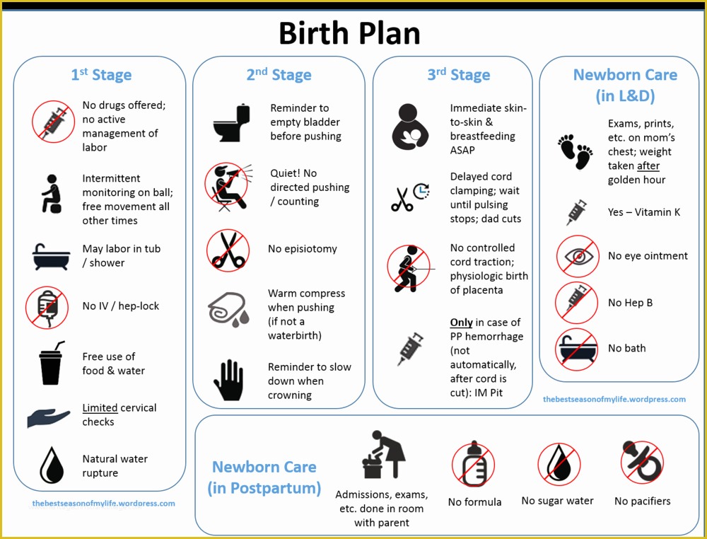 Free Printable Birth Plan Template Of New Birth Plan Template — Abby Block Cd Dona Cbc