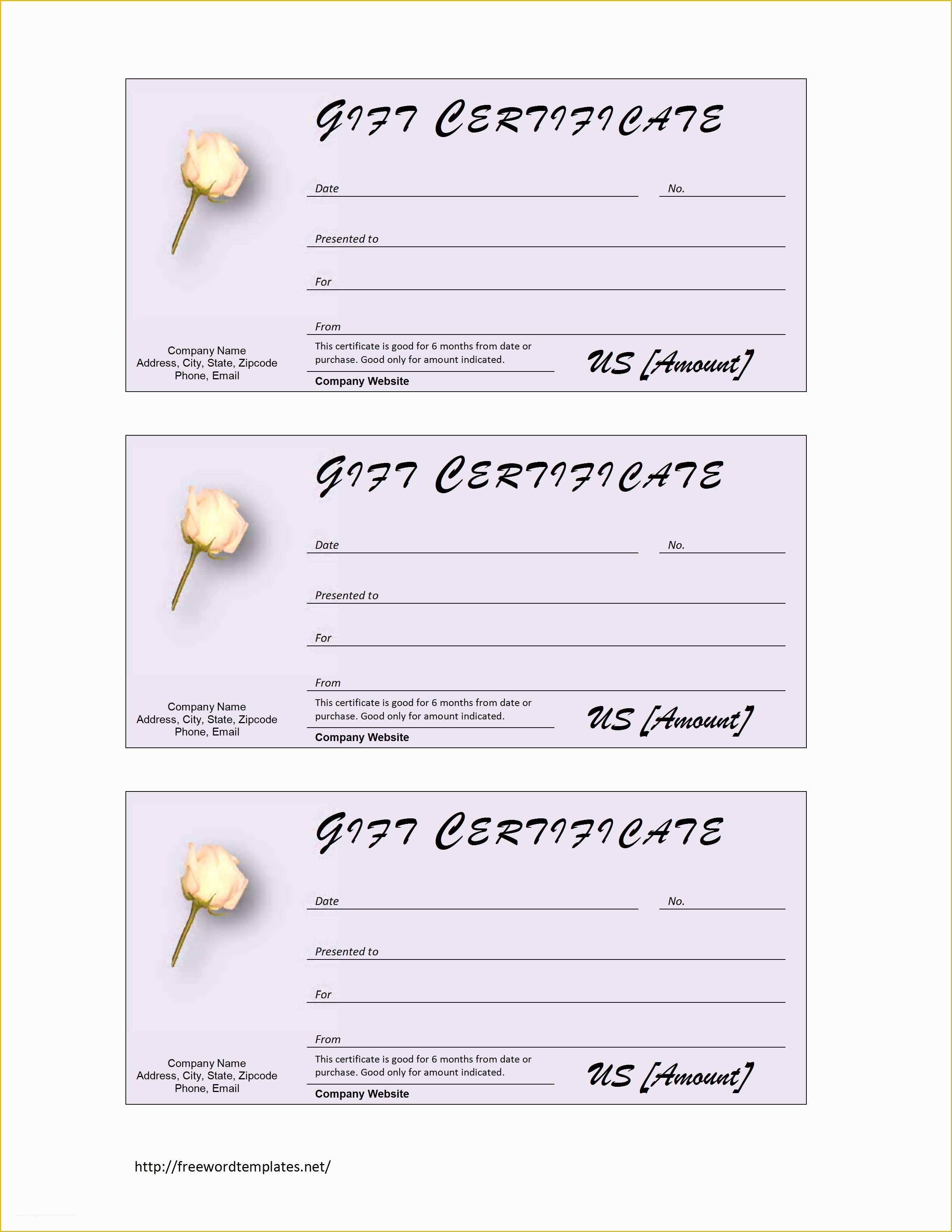 Free Printable Christmas Gift Certificate Template Word Of Blank Gift Certificate Template Mughals