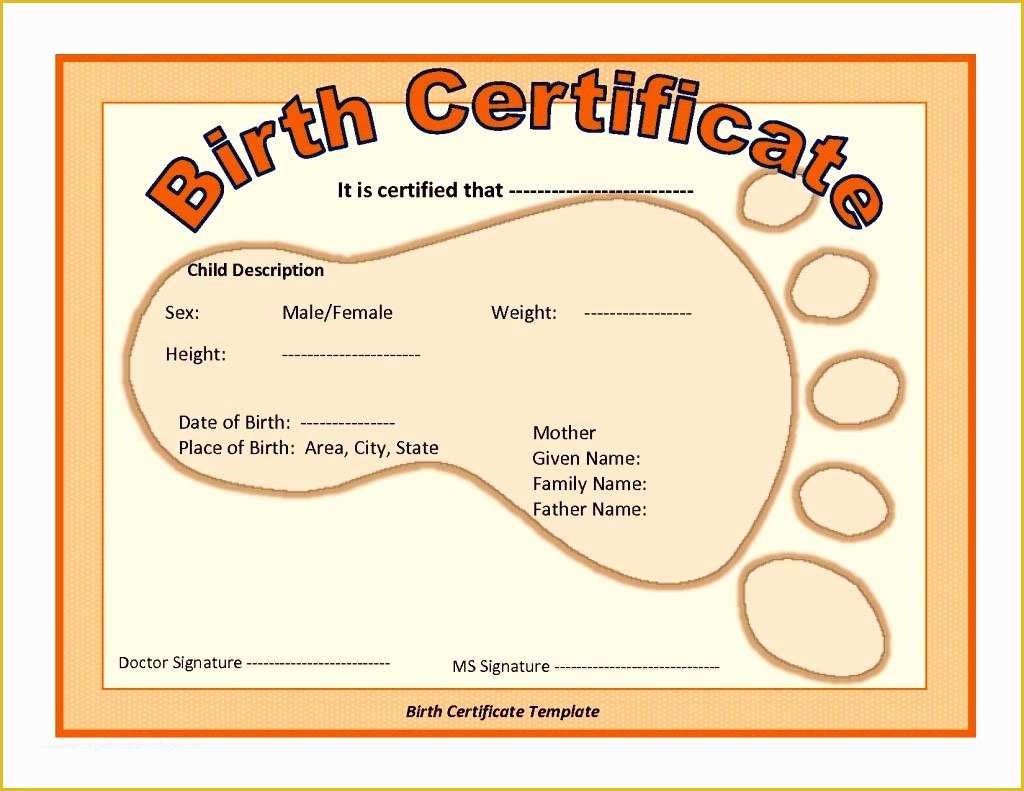 Free Printable Diploma Template Of Baby Birth Certificate Template Mughals