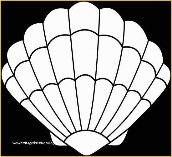free-printable-graphics-template-of-seashell-lineart-free-clip-art