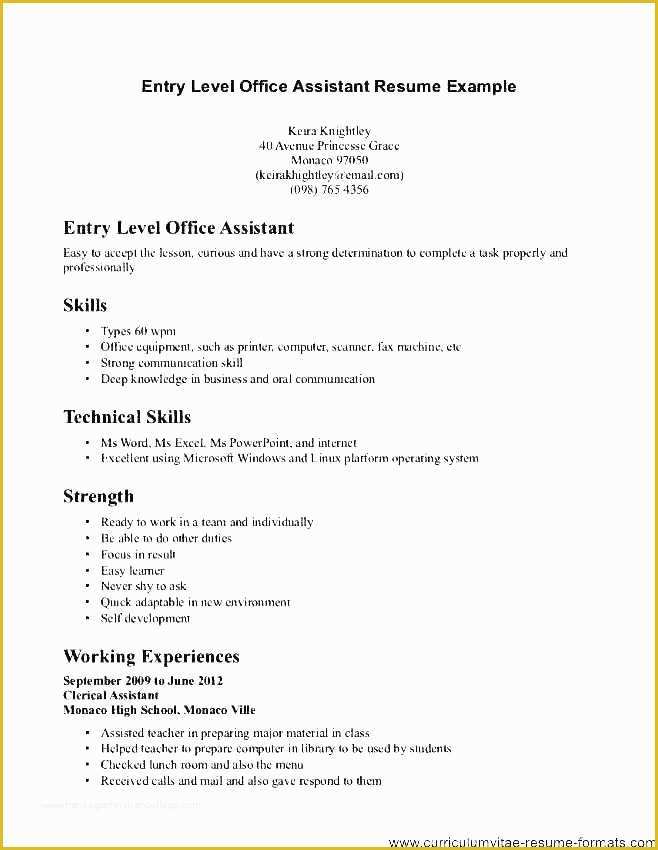 Free Printable Job Description Template Of Job Description Template Word Team Lead Job Description