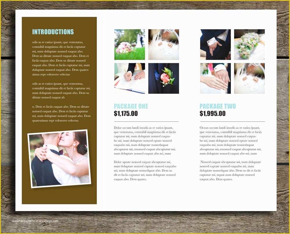 Free Printable Pamphlet Template Of Tri Fold Brochure Template – "bella"