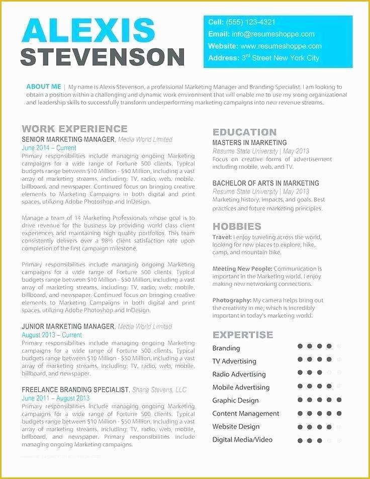 Free Printable Professional Resume Templates Of Professional Resumes Templates