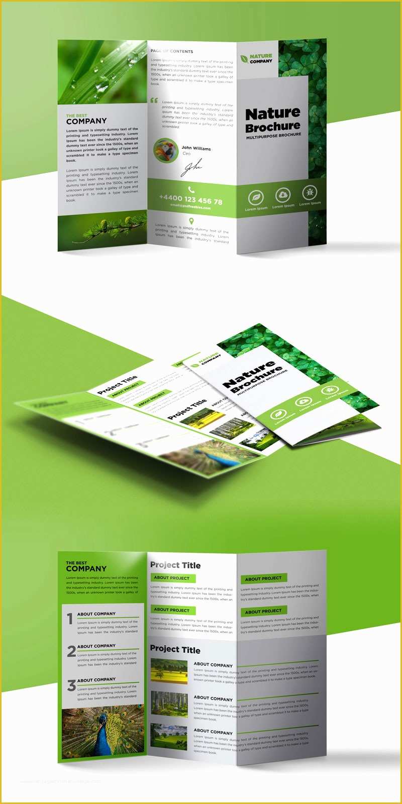 Free Printable Tri Fold Brochure Templates Of Nature Tri Fold Brochure Template Free Psd
