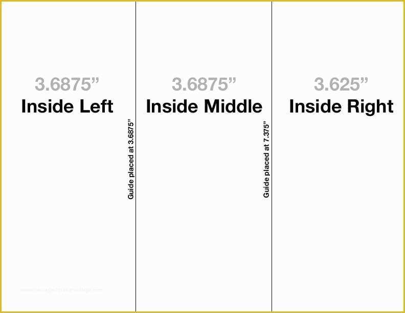 Tri Fold Brochure Template Dimensions