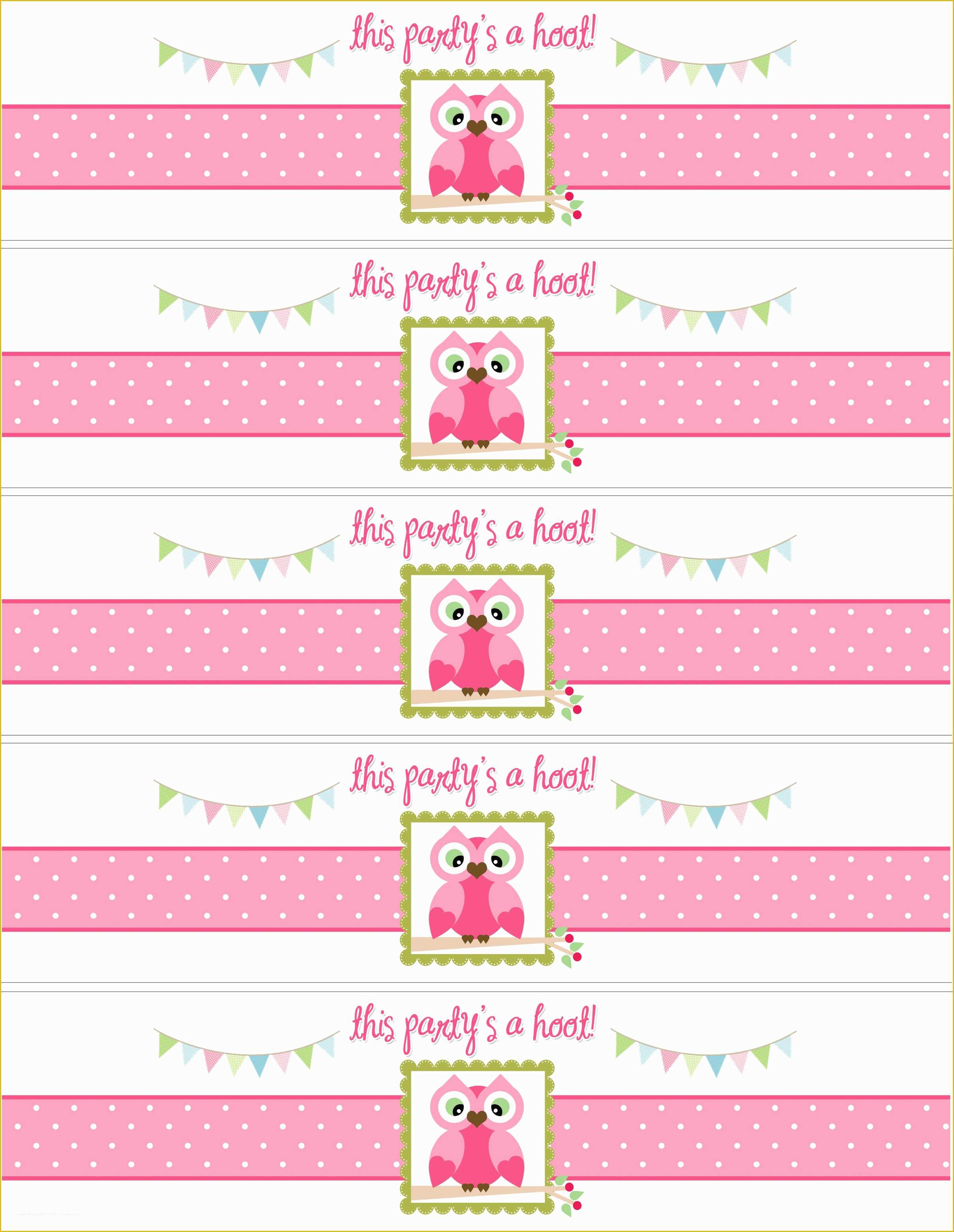 Free Printable Water Bottle Label Template Of Owl Birthday Party with Free Printables How to Nest for