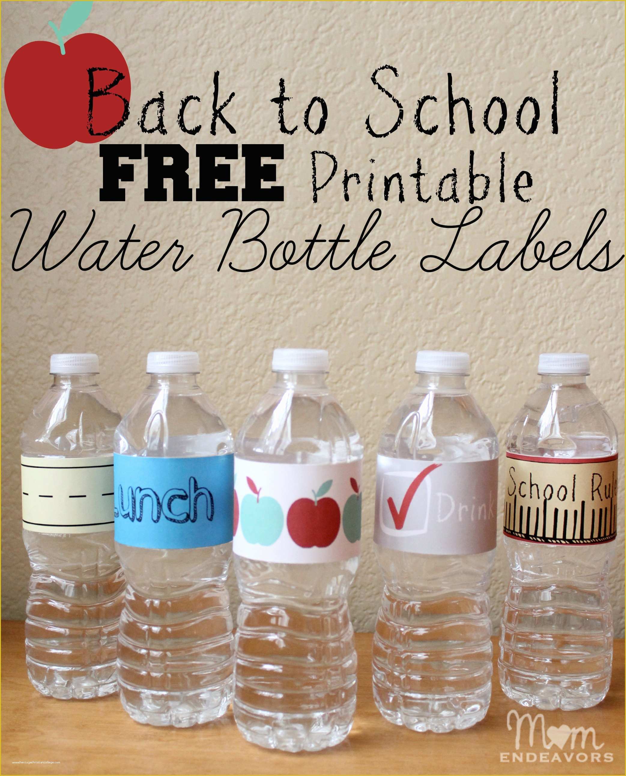 Free Printable Water Bottle Label Template Of Printable Frozen Bottle Labels Free