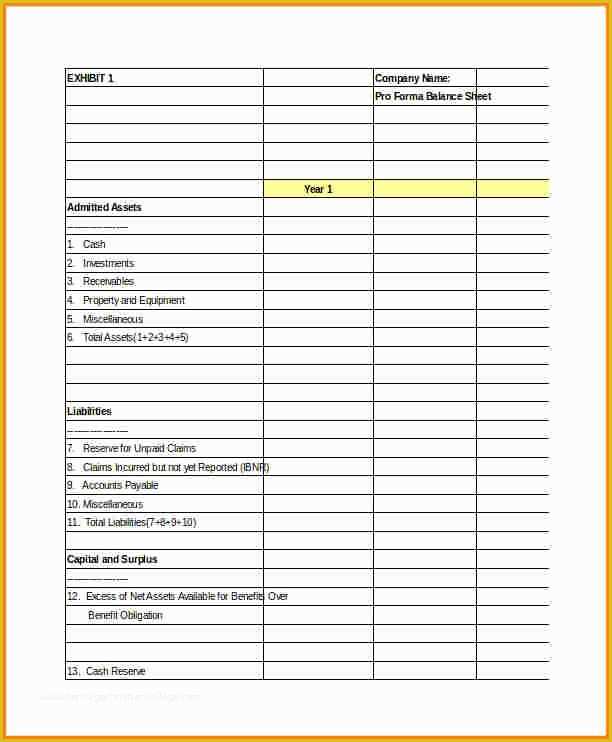 Free Pro forma Template Of 5 Pro forma Balance Sheet Template