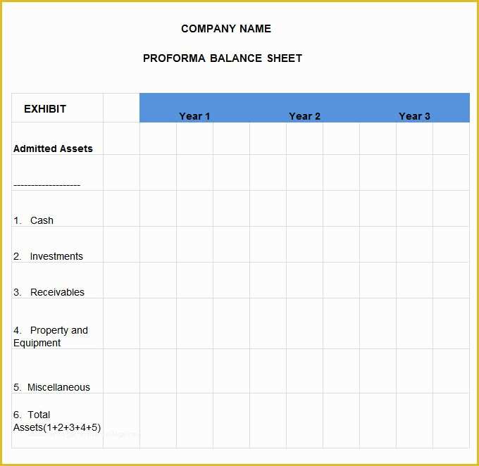 Free Pro forma Template Of Pro forma Balance Sheet 8 Free Excel Pdf Documents