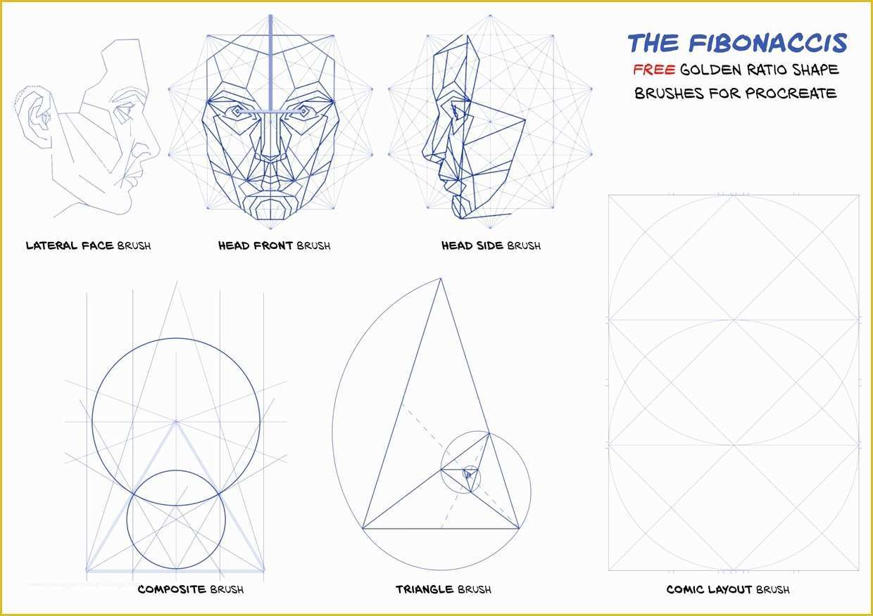 Free Procreate Templates Of Free Golden Ratio Brushes 10 Fibonacci Shape Brushes