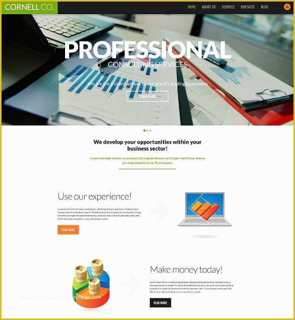 Free Professional Business Website Templates Of 51 Business Bootstrap themes &amp; Templates