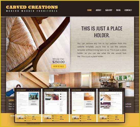 Free Professional Business Website Templates Of Portfolio Css Template Portfolio Website Templates