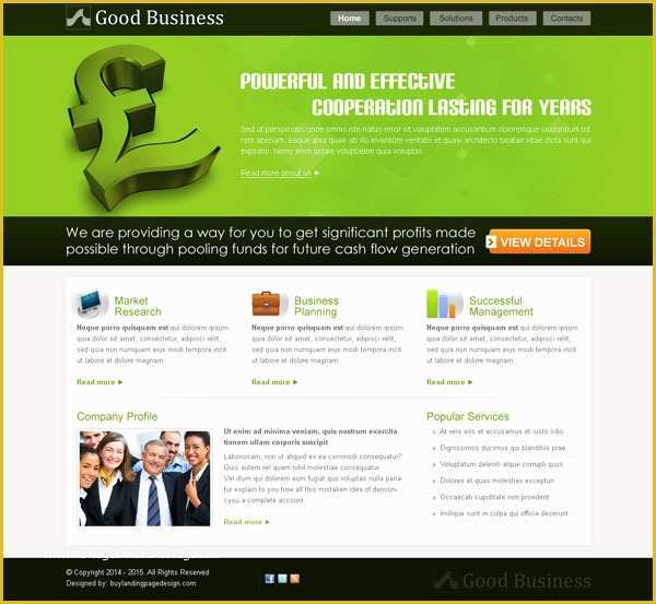 Free Professional Business Website Templates Of Professional Business Templates Psd 10