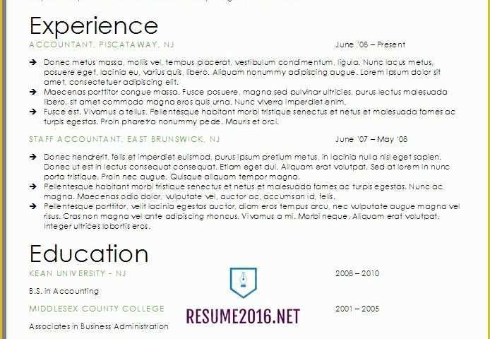 Free Professional Resume Templates 2017 Of Resume format 2017 20 Free Word Templates