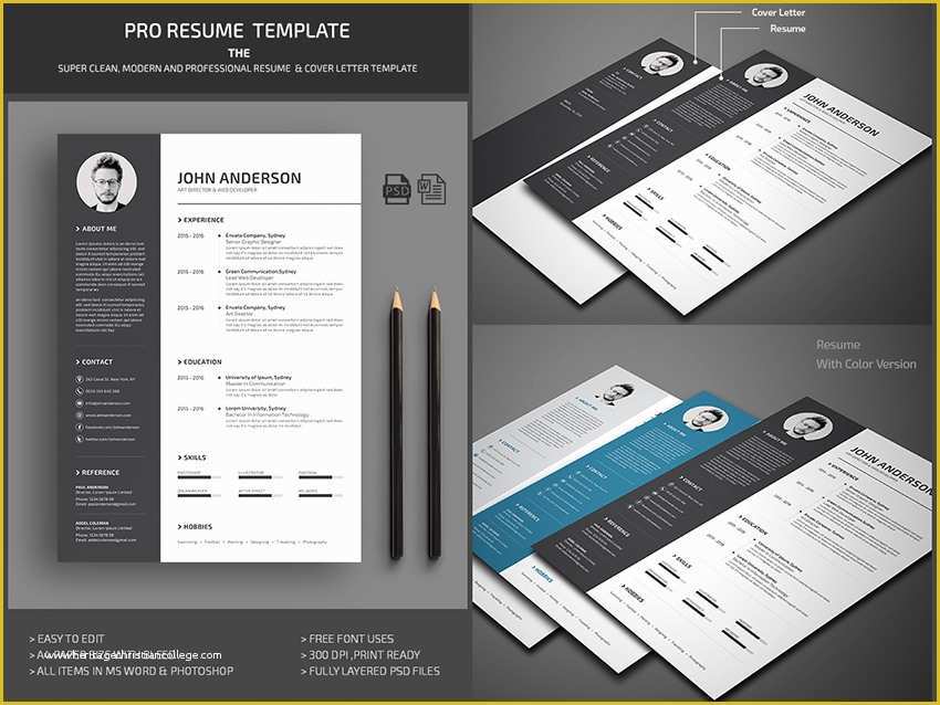 Free Professional Resume Templates Microsoft Word Of 25 Professional Ms Word Resume Templates with Simple