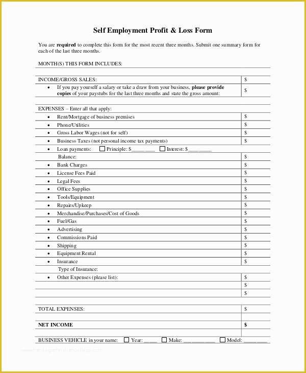 Free Profit and Loss Template for Self Employed Of 7 Sample Profit and Loss Statement forms