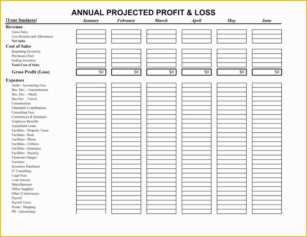 Free Profit and Loss Template Of 10 Profit and Loss Templates Excel Templates