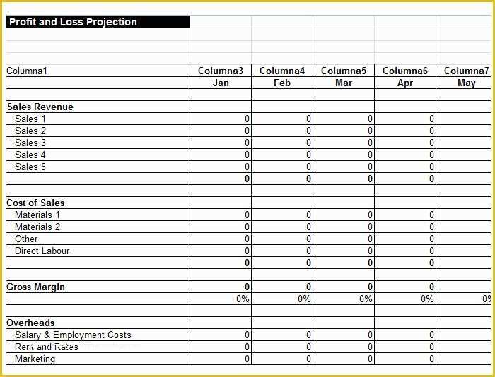 Free Profit and Loss Template Of 13 Profit and Loss Statements Word Pdf