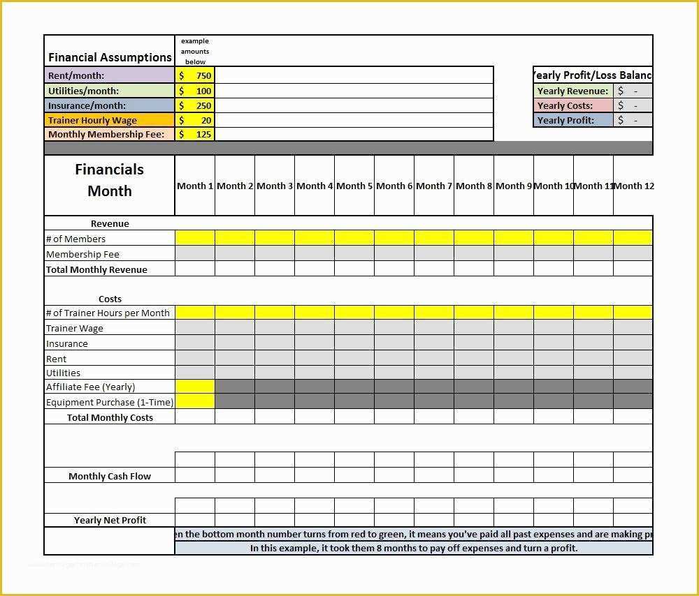 Free Profit and Loss Template Of 35 Profit and Loss Statement Templates & forms