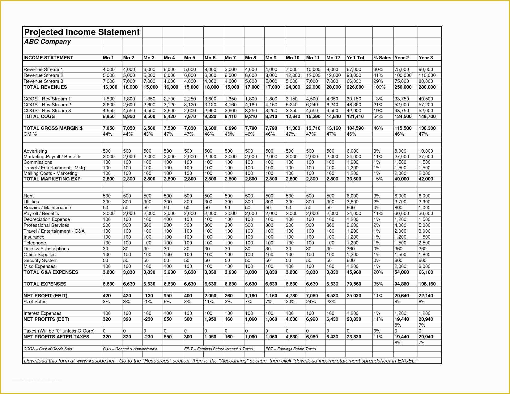 Free Profit and Loss Template Of Monthly Profit and Loss Statement Template Free Kalei