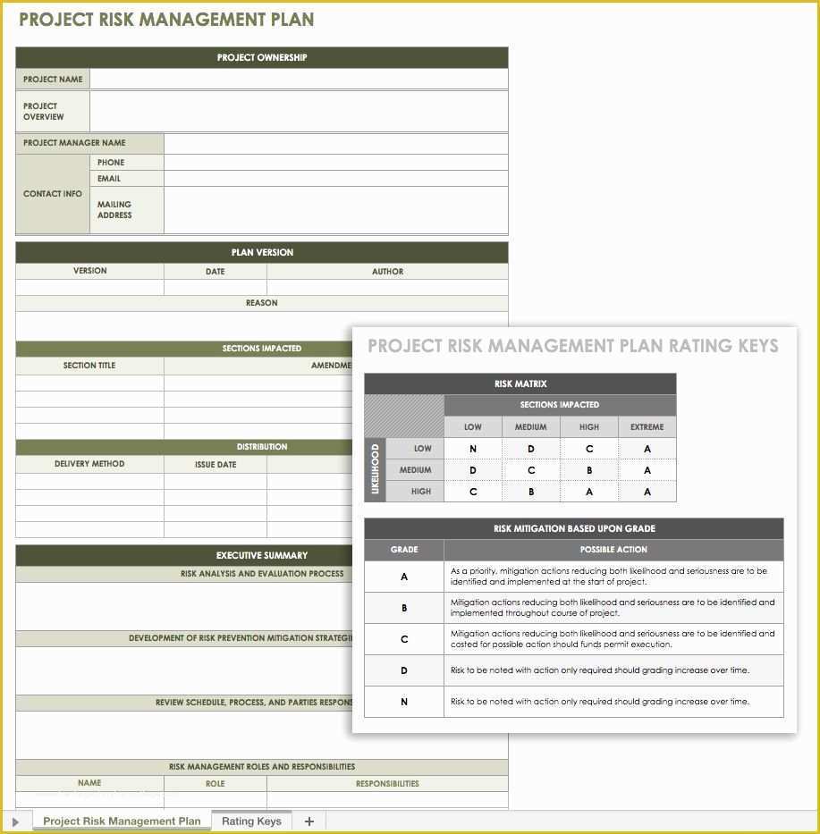 Free Program Management Templates Of Free Risk Management Plan Templates