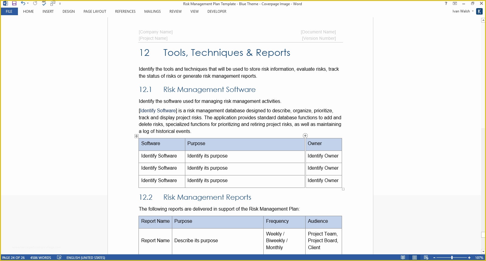 Free Program Management Templates Of Risk Management Plan Template – 24 Pg Ms Word & Free Excel