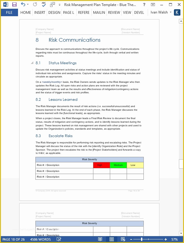 Free Program Management Templates Of Risk Management Plan Template – 24 Pg Ms Word & Free Excel