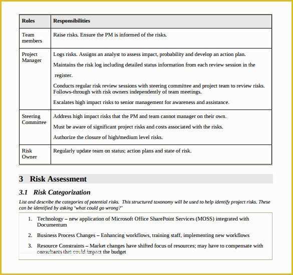 Free Program Management Templates Of Risk Management Plan Template 9 Download Free Documents