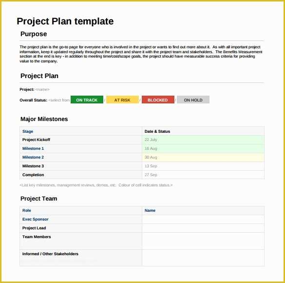 Free Project Templates Of 6 Sample Project Sheet Templates for Free Download