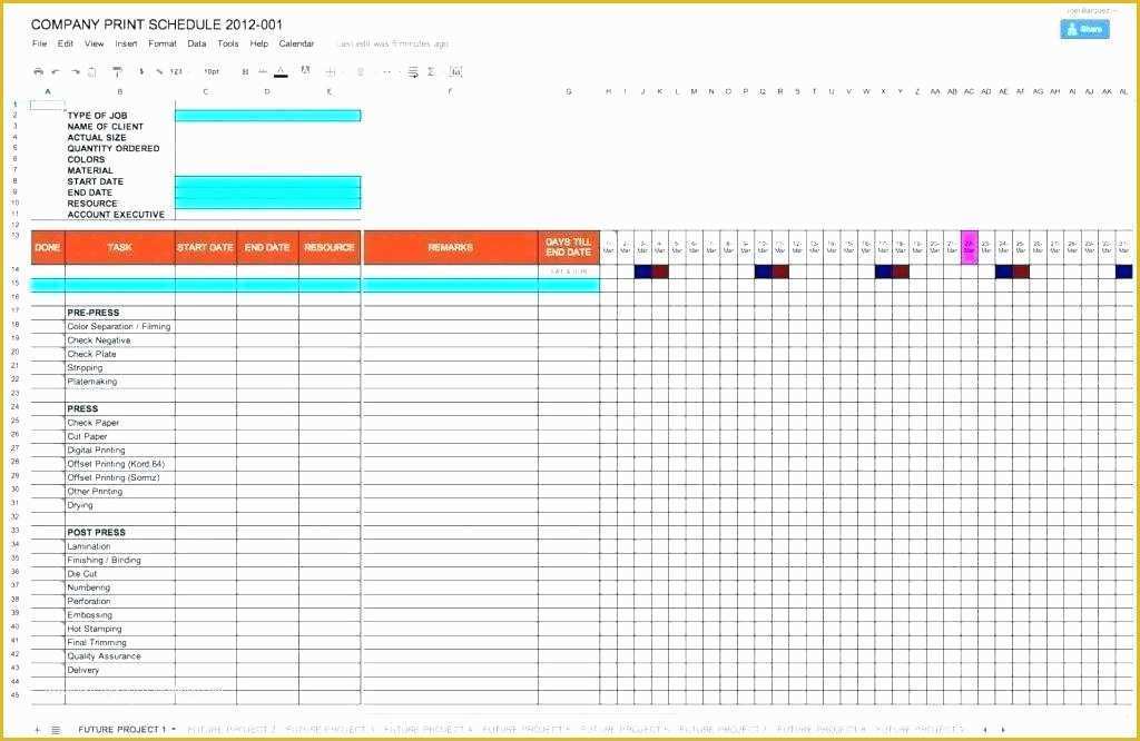 Free Project Tracking Template Of Tracking Multiple Projects In Excel Admirable Project