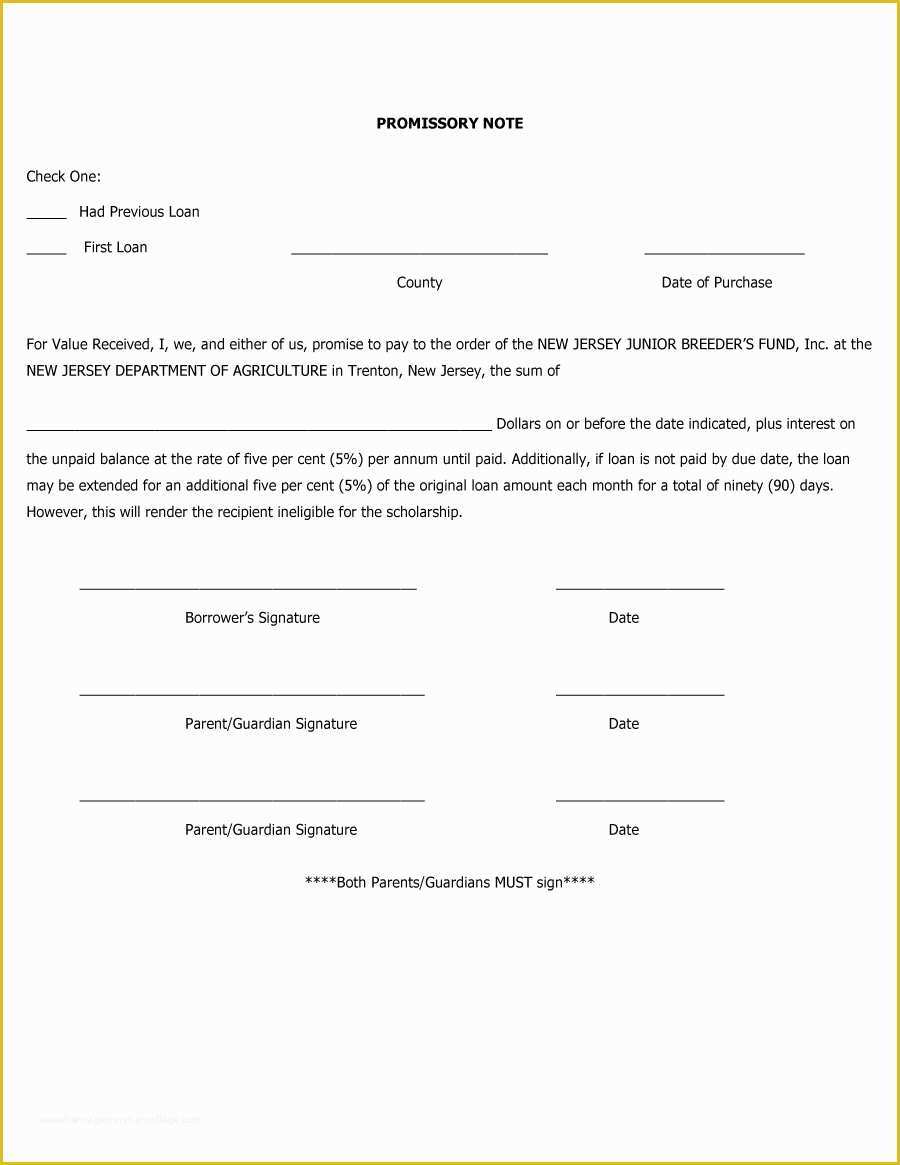 Free Promissory Note Template for Personal Loan Of 45 Free Promissory Note Templates & forms [word & Pdf]