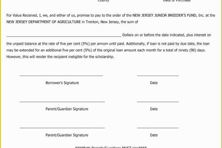 Free Promissory Note Template Of 45 Free Promissory Note Templates &amp; forms [word &amp; Pdf]