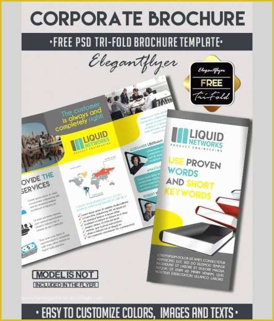 Free Psd Business Flyer Templates Of Business Flyer Brochure Templates In Psd