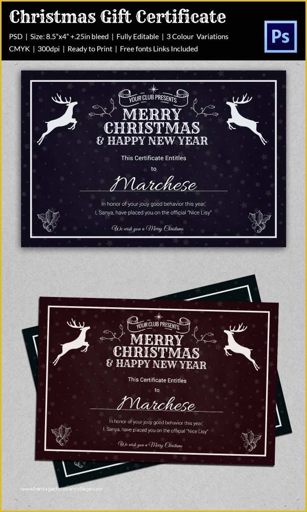 Free Psd Certificate Templates Download Of Christmas Gift Certificate Templates 21 Psd format