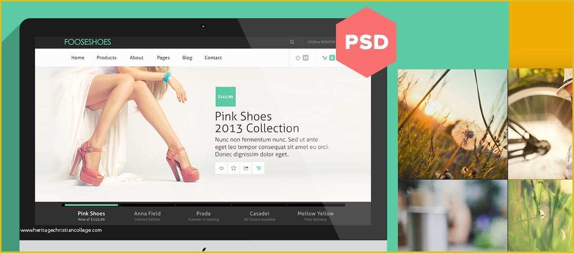 Free Python Web Templates Of 20 Stunning Free Website Templates From Dribbble