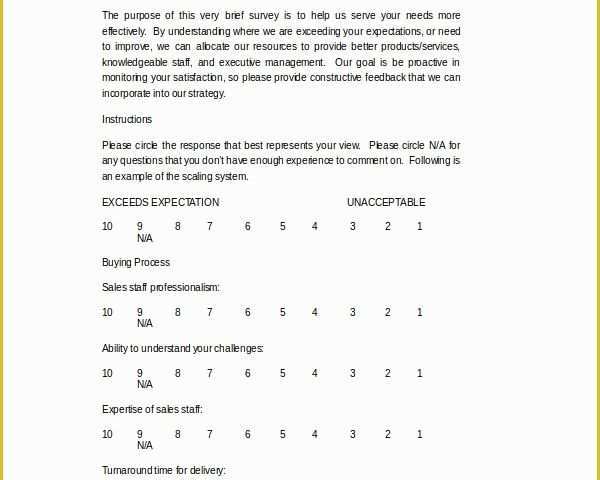 Free Questionnaire Template Of Sample Customer Satisfaction Survey Template 10 Free